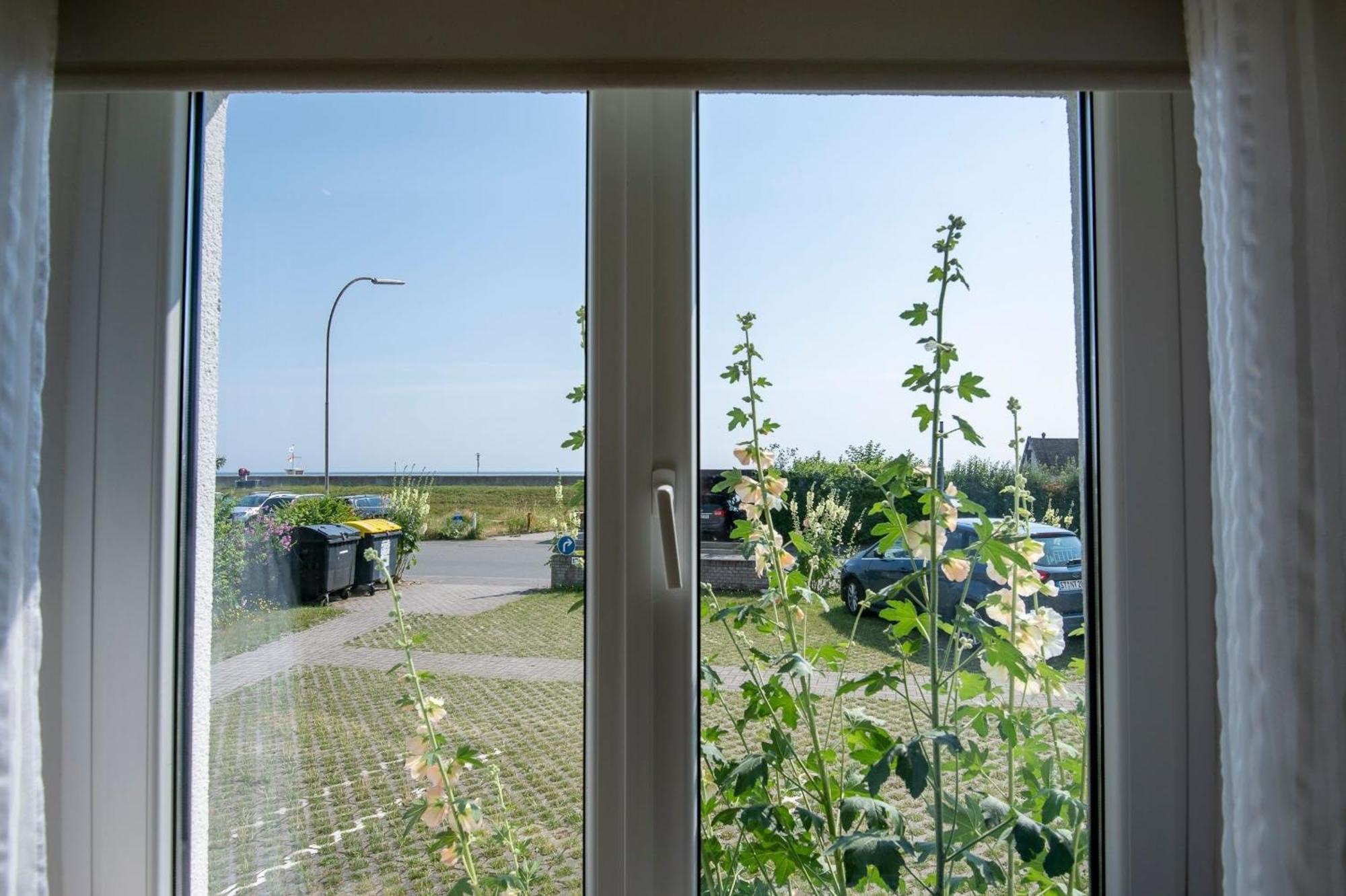 Haus An Der See Seenelke Даме Екстериор снимка